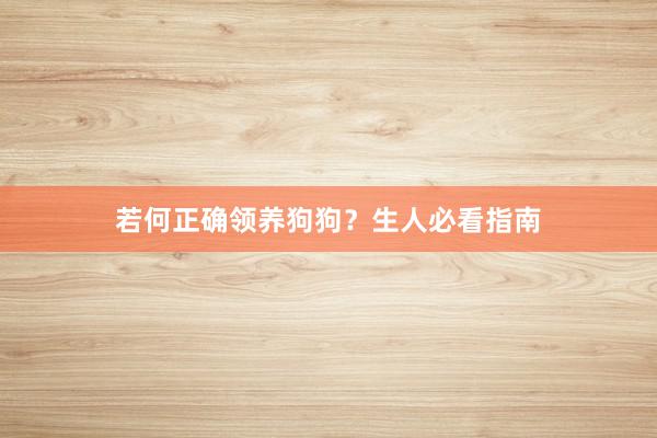 若何正确领养狗狗？生人必看指南