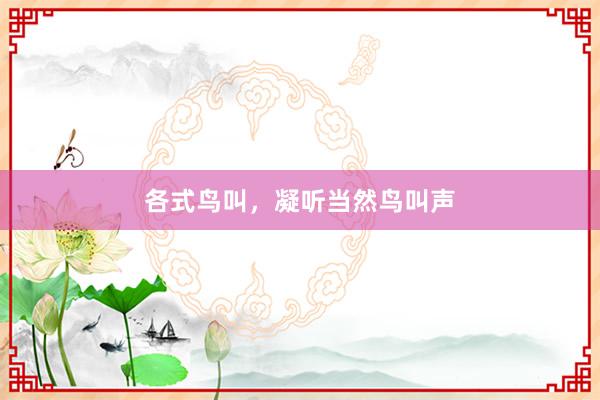 各式鸟叫，凝听当然鸟叫声