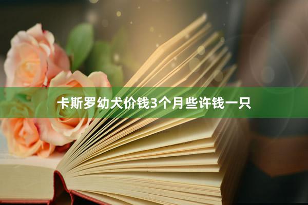 卡斯罗幼犬价钱3个月些许钱一只