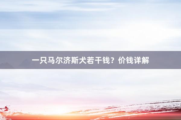 一只马尔济斯犬若干钱？价钱详解